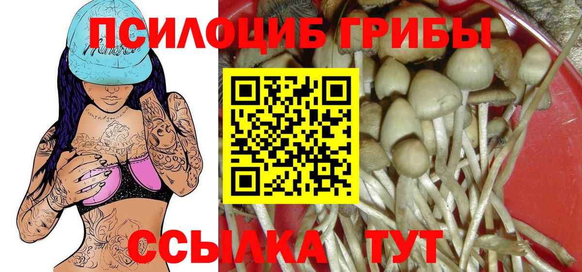 Галлюциногенные грибы ЛСД  Галлюциногенные грибы мухоморы  Богданович  Вход с VPN 